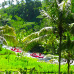 Bali Family Tour Package1